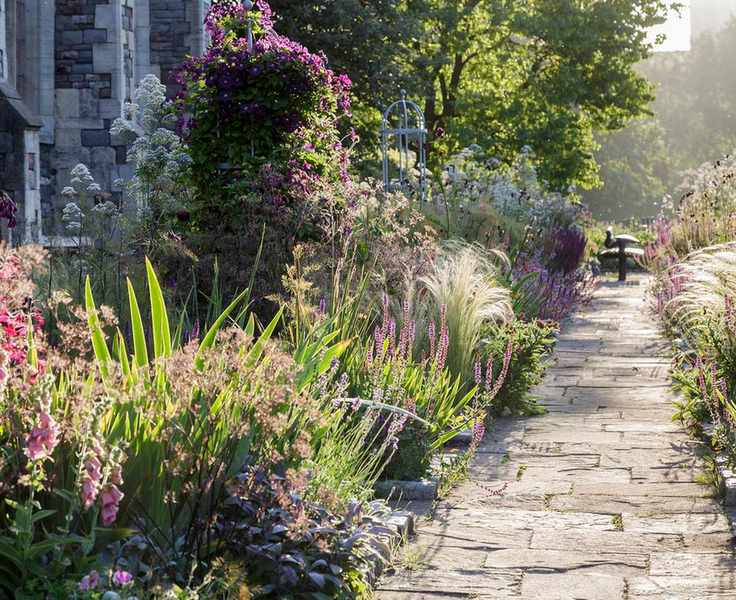 Rewilding trend