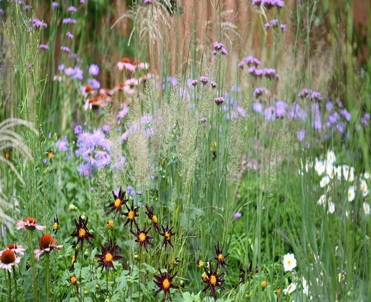 Prairie Planting Guide: How to Create a Naturalistic Garden at Home