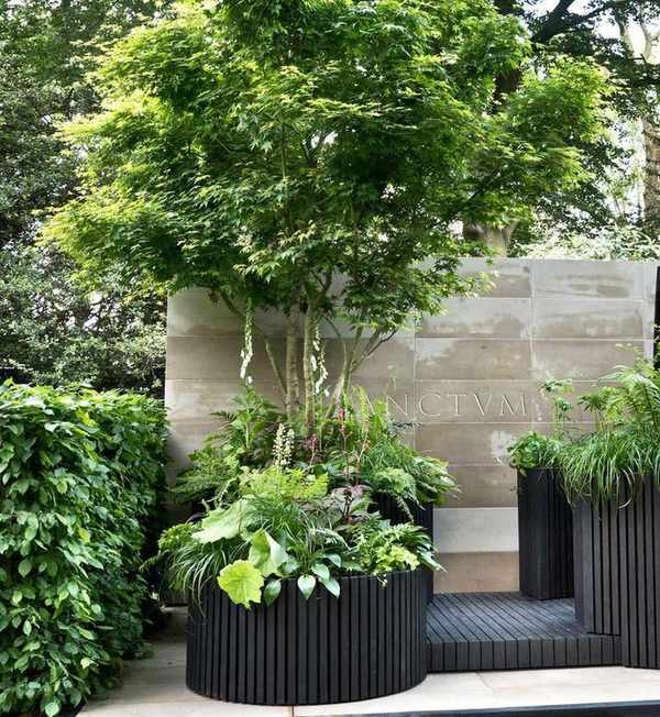 large container with tree and underplanting