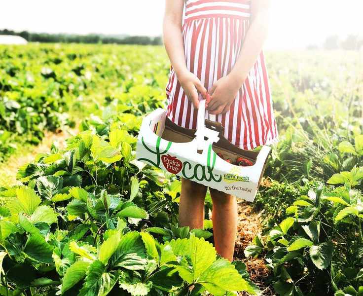 5 Smart Strategies for Healthy Meal Planning on a Budget