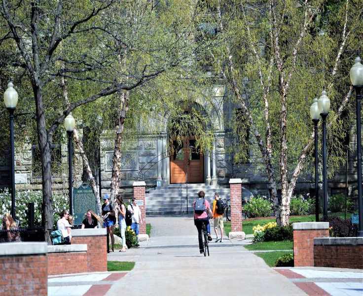 Student Loan Forgiveness Denied: Essential Steps for Borrowers