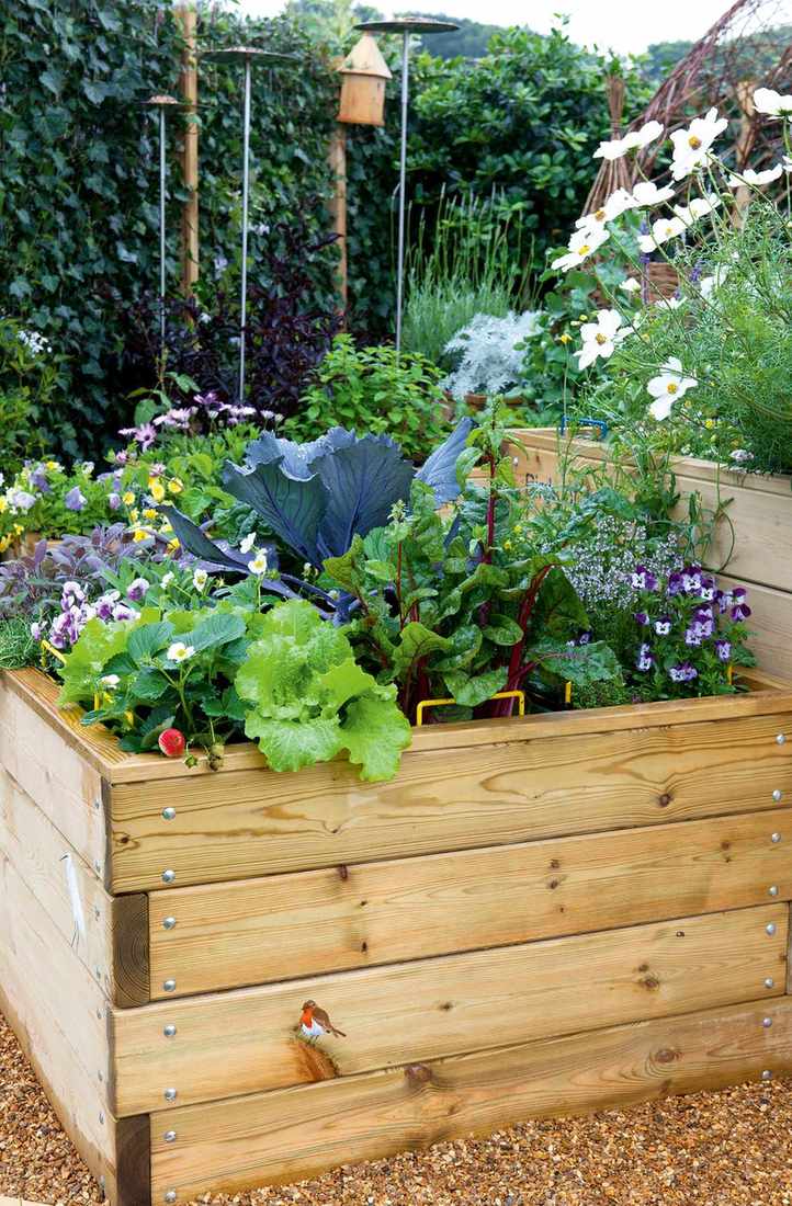 raised vegetable bed