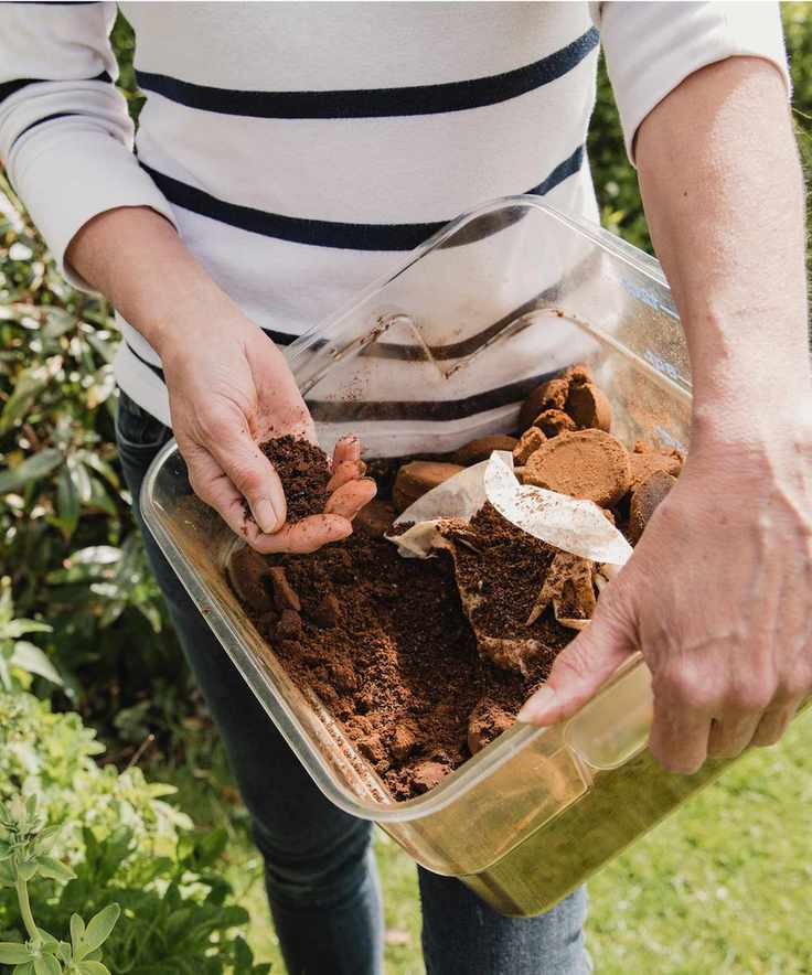 Coffee grounds for garden
