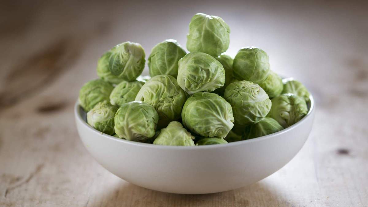 The Best Timing for Planting Brussels Sprouts for Maximum Harvest