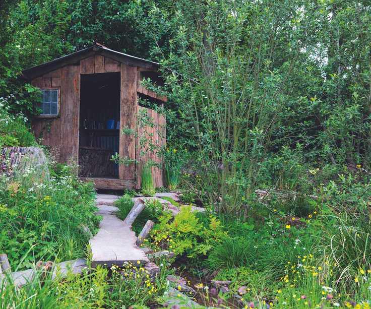 A Rewilding Britain Landscape at RHS Chelsea Flower Show 2022