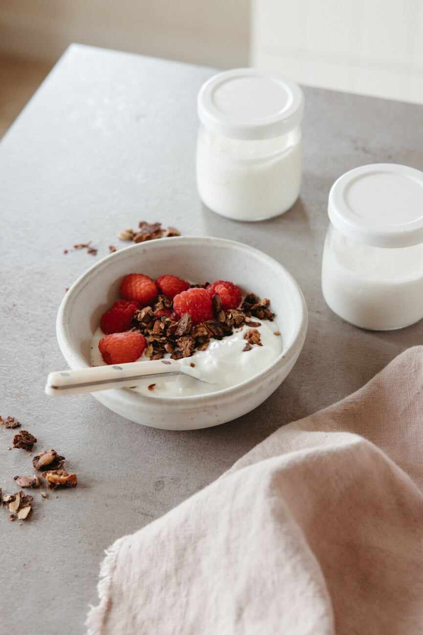 Yogurt and granola