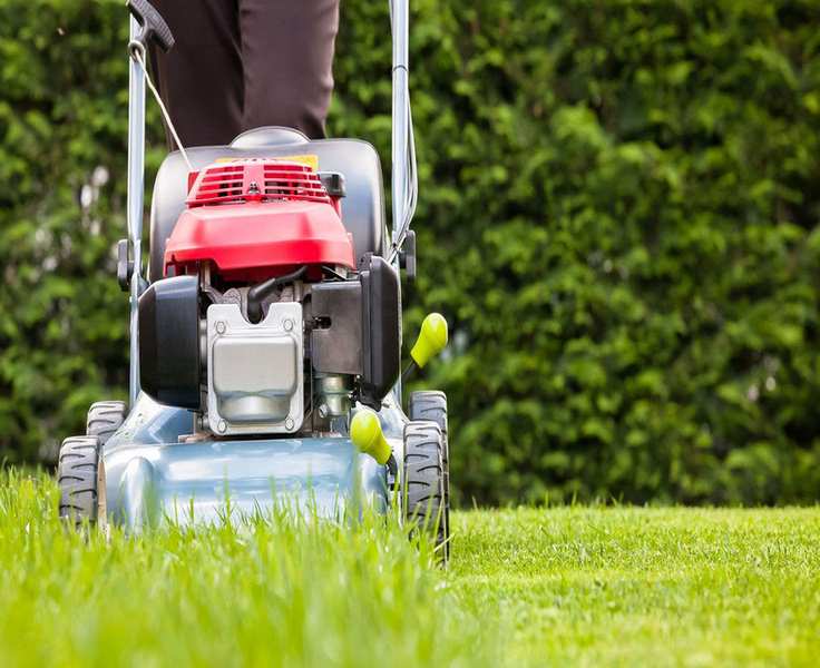 Choosing the Right Mower Height for Spring Lawns