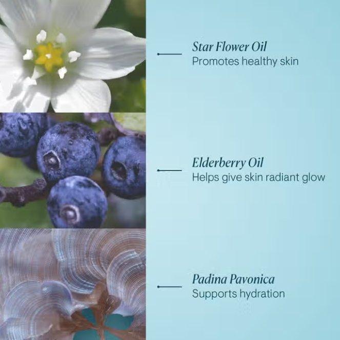 Elemis Key Product Ingredients 