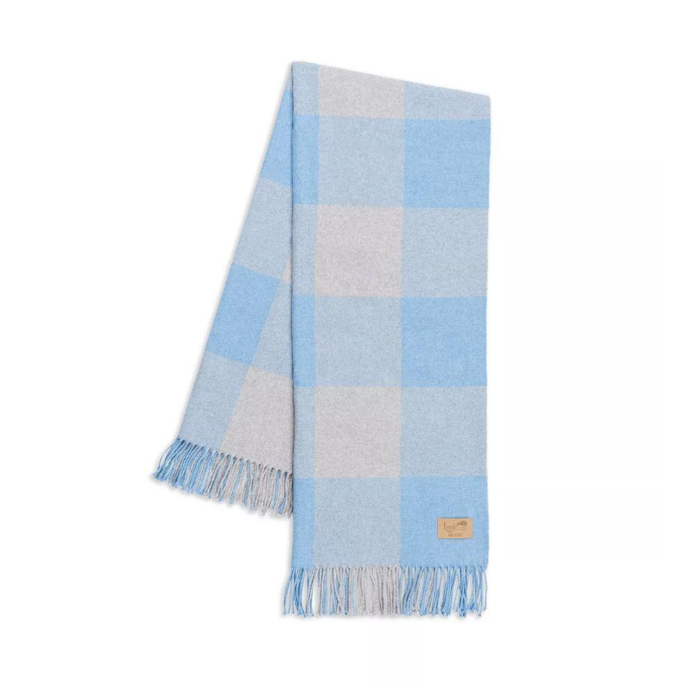 Blue and gray checked throw blanket