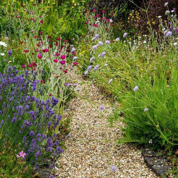 Gravel path, flower borders,