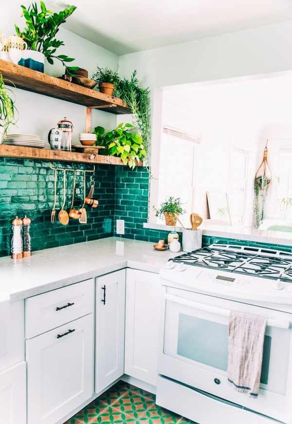 Justina Blakeney kitchen best low-light indoor plants