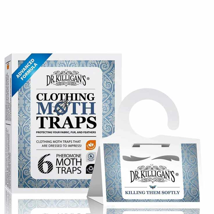 Clothing moth traps