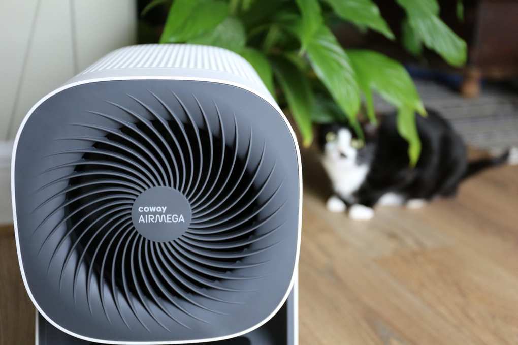Coway Airmega Aim Air Purifier with a black and white cat