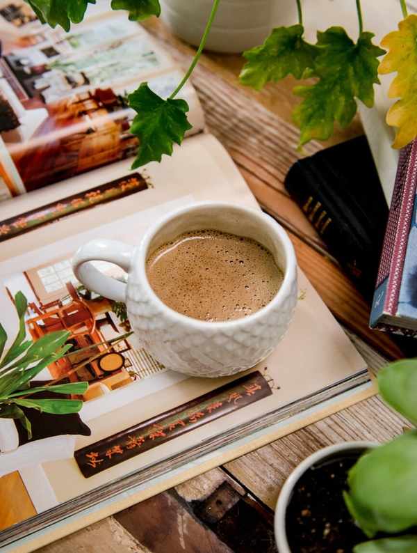 mushroom collagen coffee tiana gamble