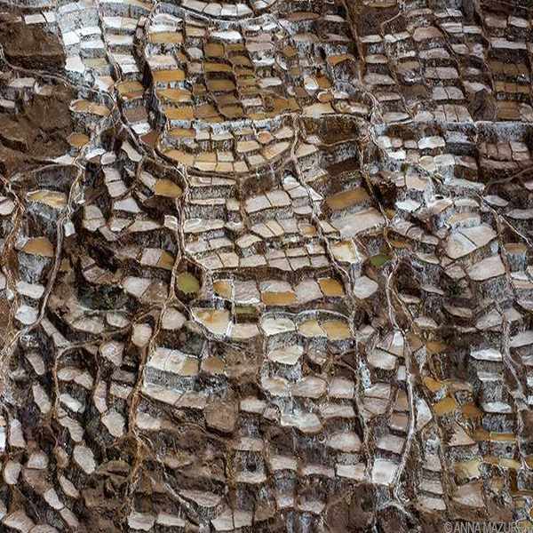 Salinas, Sacred Valley