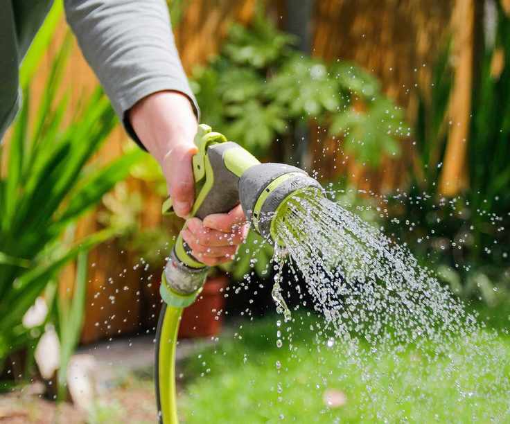 watering garden with hose