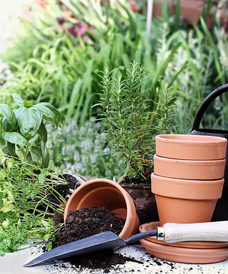 potting soil
