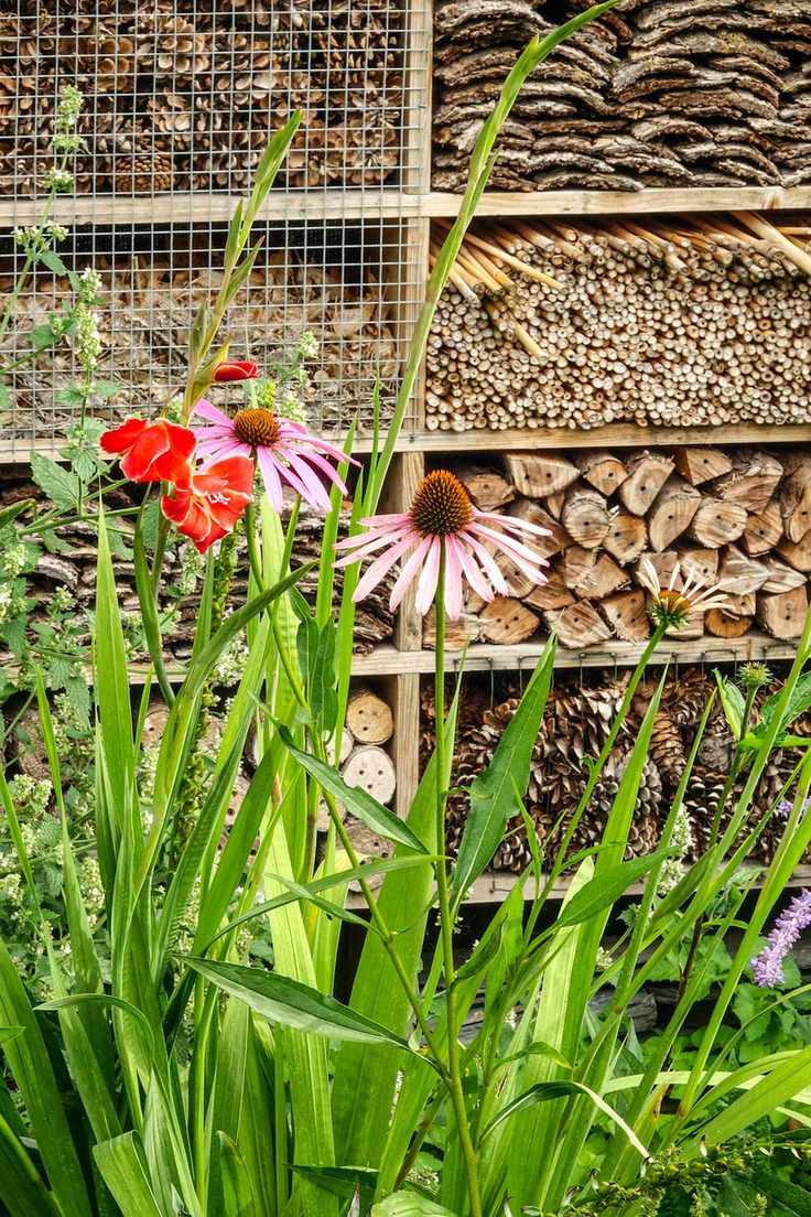 wooden bug hotel in garden