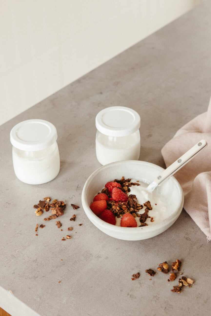 Probiotic rich yogurt