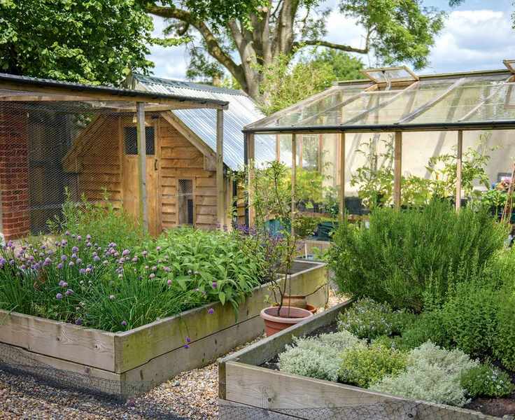 Raised bed garden ideas for crops and veg