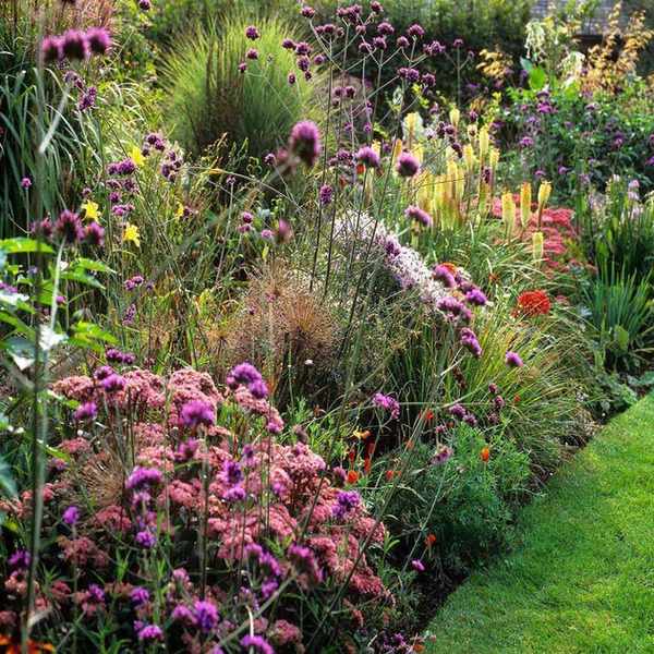 verbena, lilies, red hot pokers and other late summer flowers in a mixed border