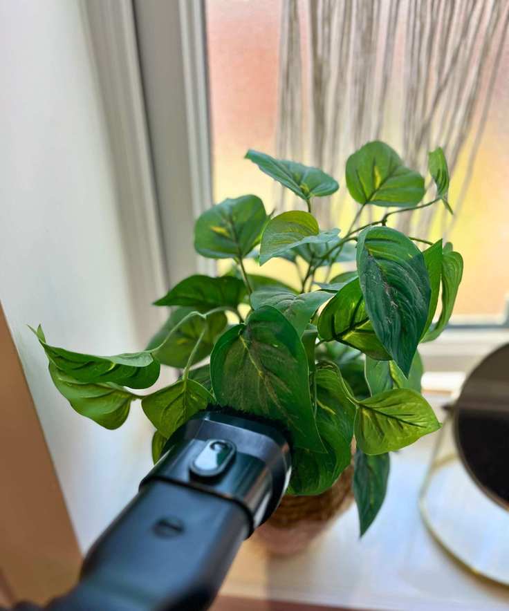 Dusting a fake plant with a black handheld vacuum on a window ledge.