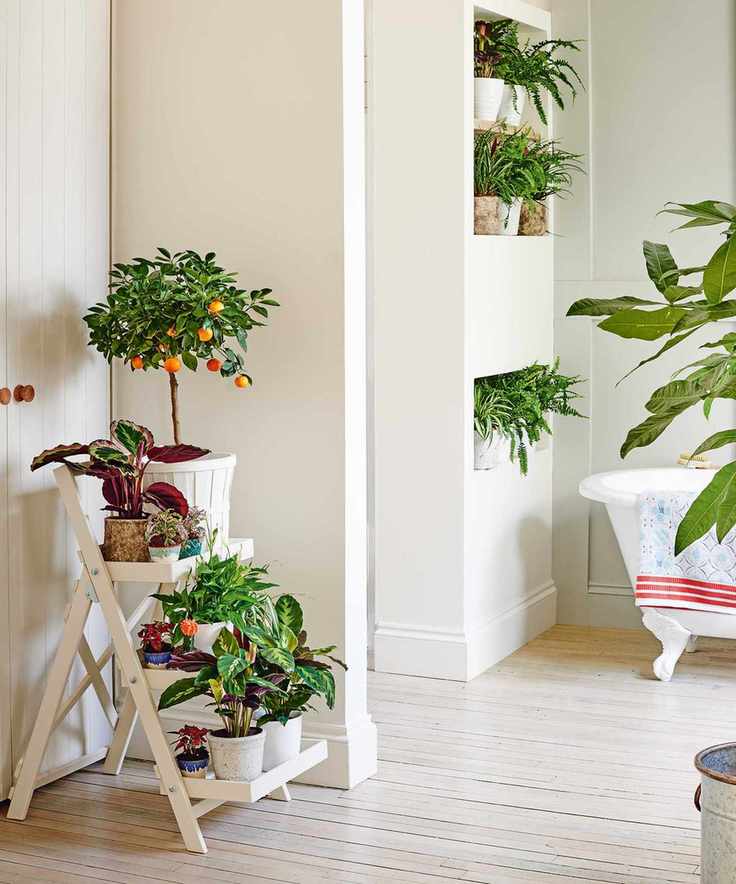 bathroom with houseplants
