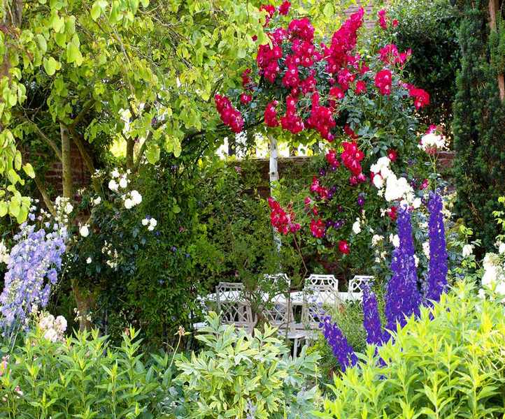 Cottage backyard ideas alfresco dining