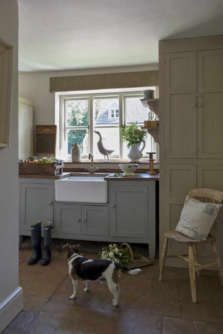 A small dog in a utility room with wellington boots and a basket of flowers.