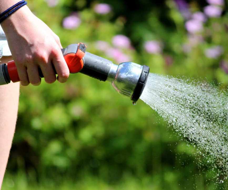 Watering a lawn with a garden hose in summer