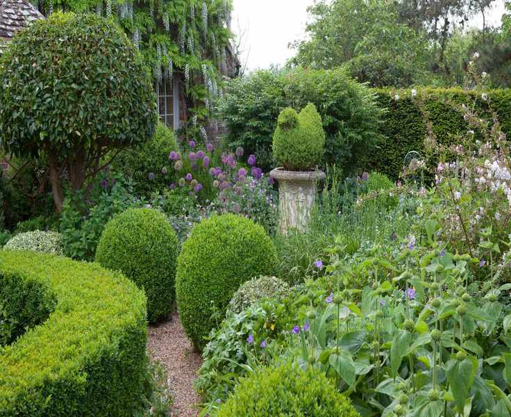 10 Evergreen Shrubs for Year-Round Garden Interest