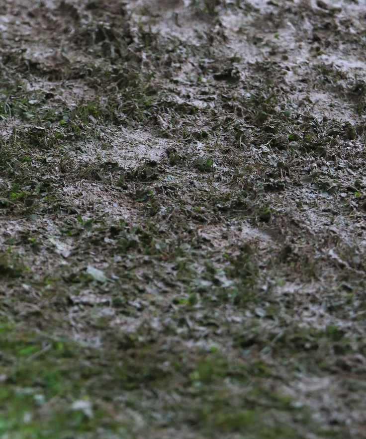 A muddy lawn with grass poking through the mud