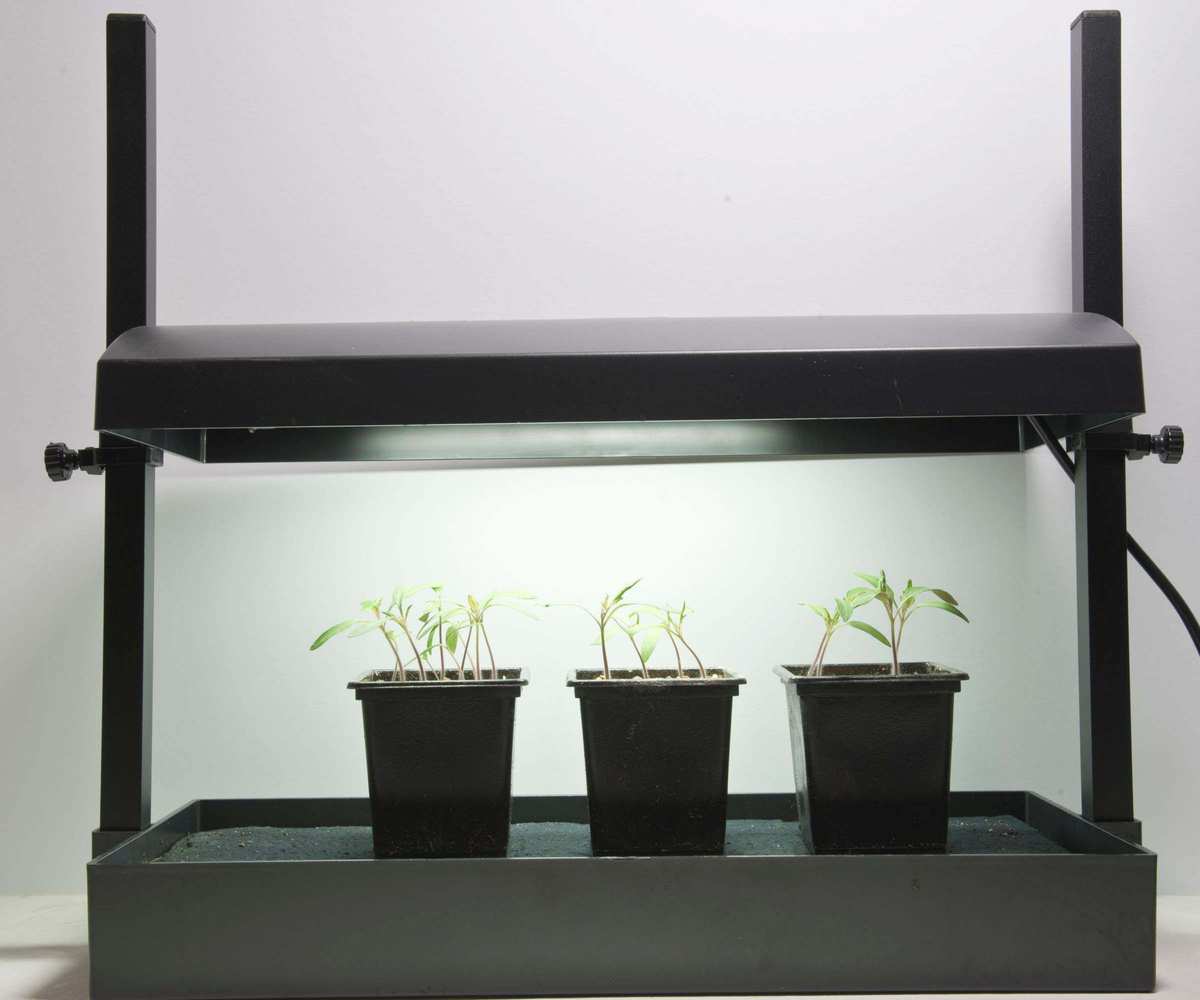 Grow lights