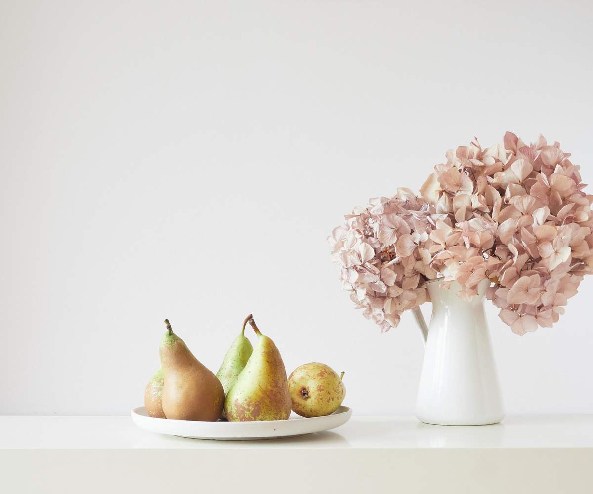 Dried hydrangea in vase