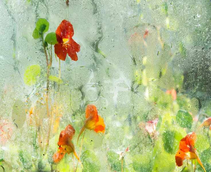 windows with condensation