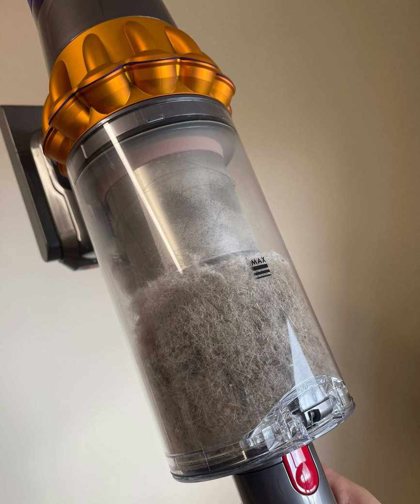 Dyson V15 Detect dustbin full of pet hair