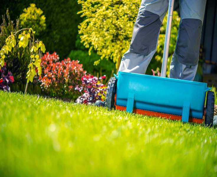 The Best Time to Fertilize Your Lawn This Spring