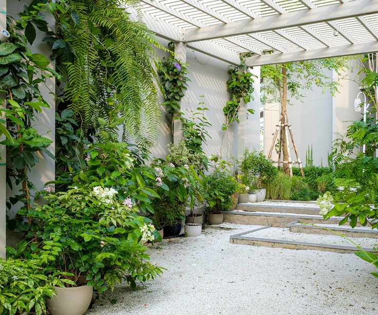 pergola-covered patio with white gravel and tropical plants