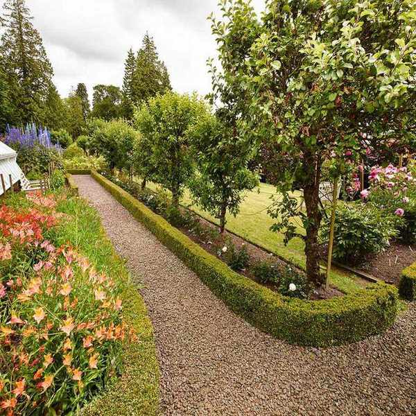 Garden edging ideas