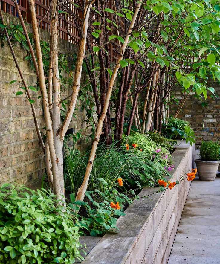 raised flower beds