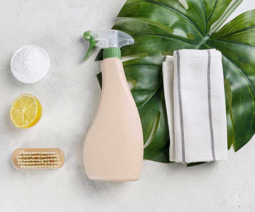 Natural cleaning products and monstera leaf