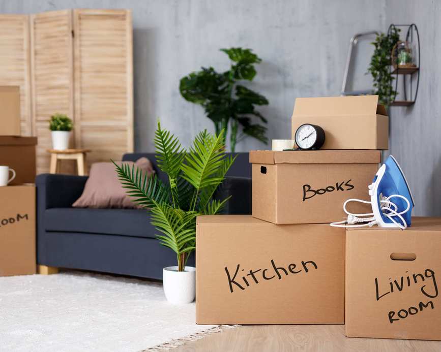 A gray room with a blue sofa, plants and a wooden screen in the background, cardboard packing boxes with labels of different rooms in the foreground, white rug over wooden flooring.