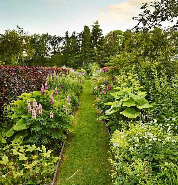 low-allergen garden