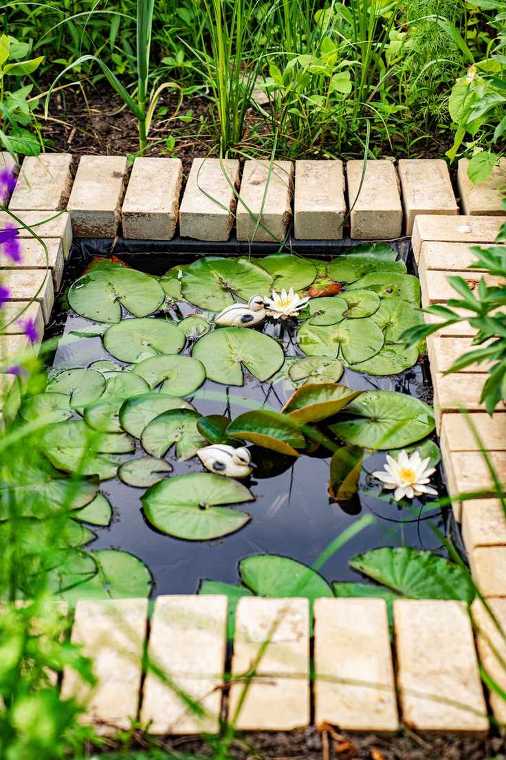 Small brick pond covered in water lilies and two toy ducks