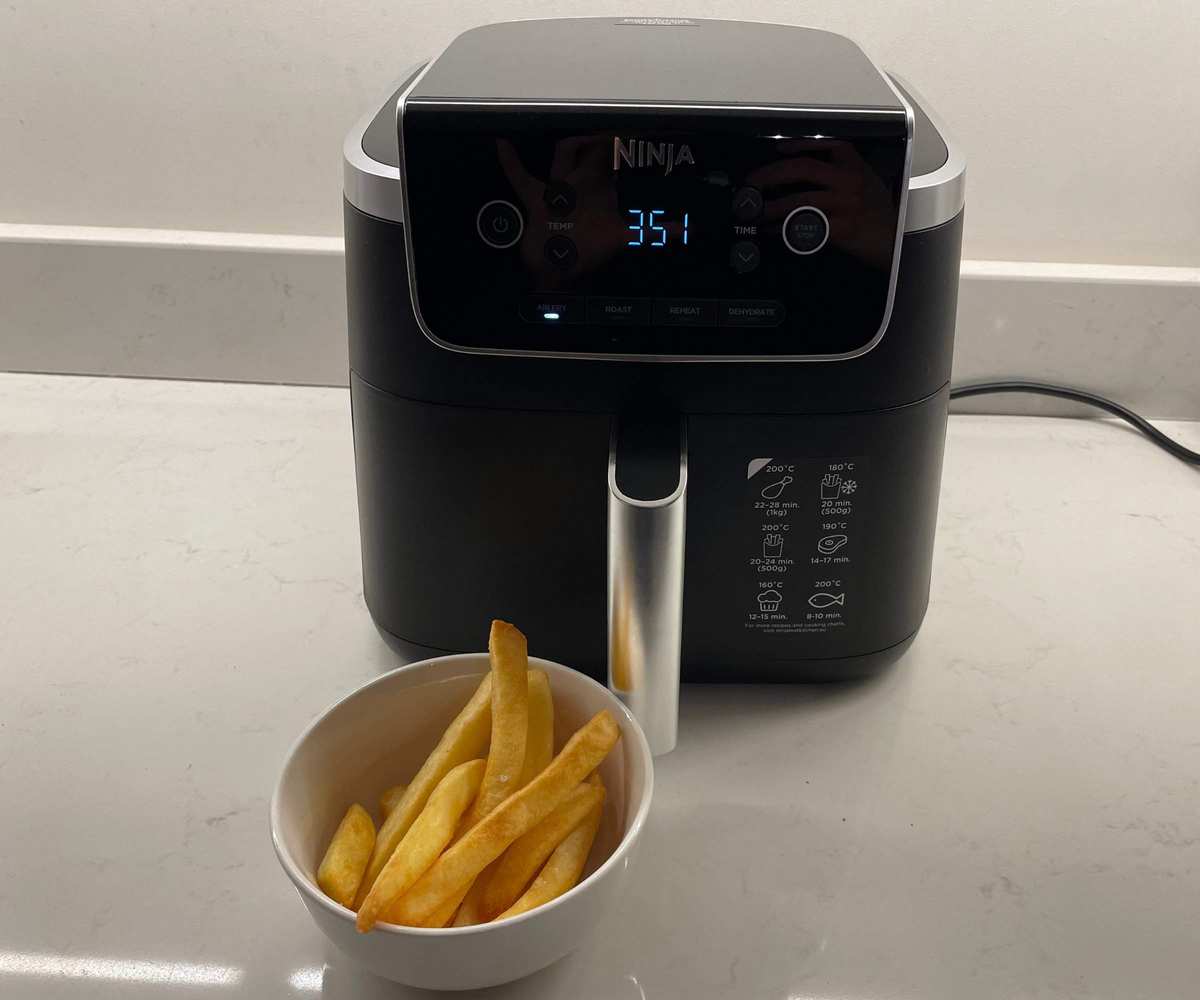 Ninja Air Fryer Pro 4-in-1
