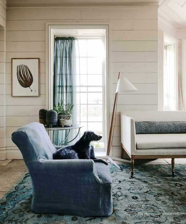 Well-lit living room with white wood panelled wall, blue armchair, floral rug and dog sat on regency sofa.