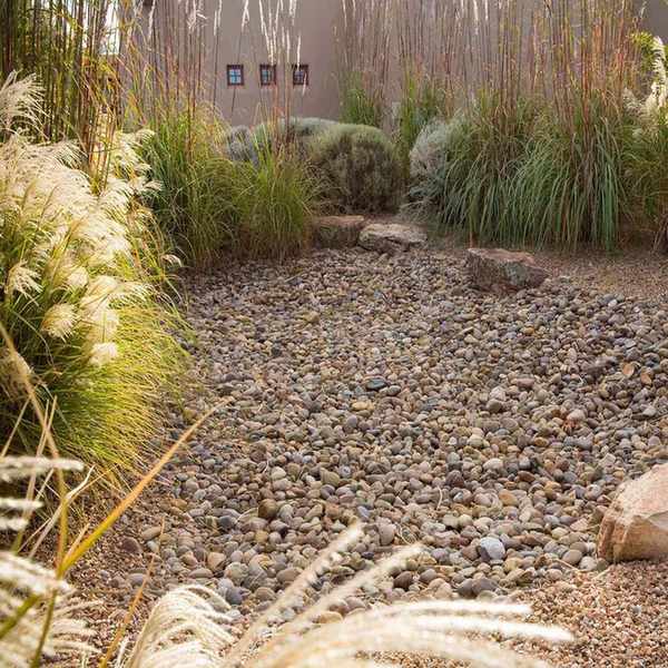 Miscanthus grass planted around rain garden with gravel and rocks