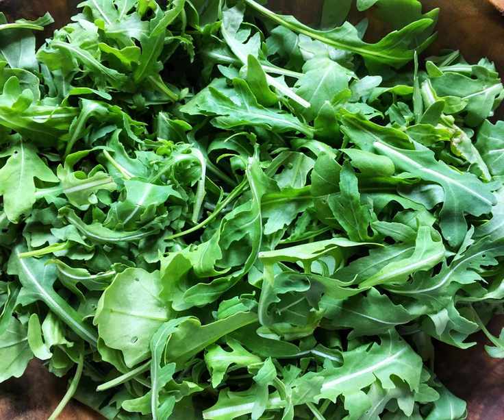 A close-up of arugula in a bowl