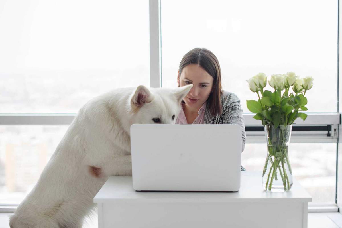 Home Office Deduction and Your Tax Questions for 2025