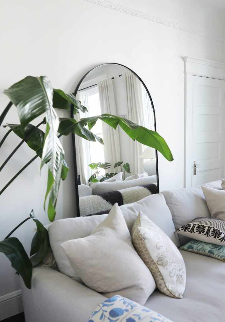 Indoor plant trends 2022